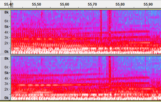 Clicky example spectrogram view.png
