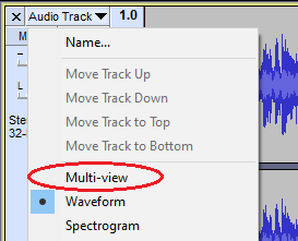 Audio Track Dropdown Menu 2-4-0 - Mult-view selection.png
